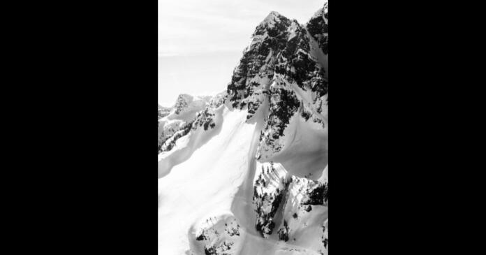 平野歩夢の結婚相手はどんな人？馴れ初めや家族とのエピソードも調査